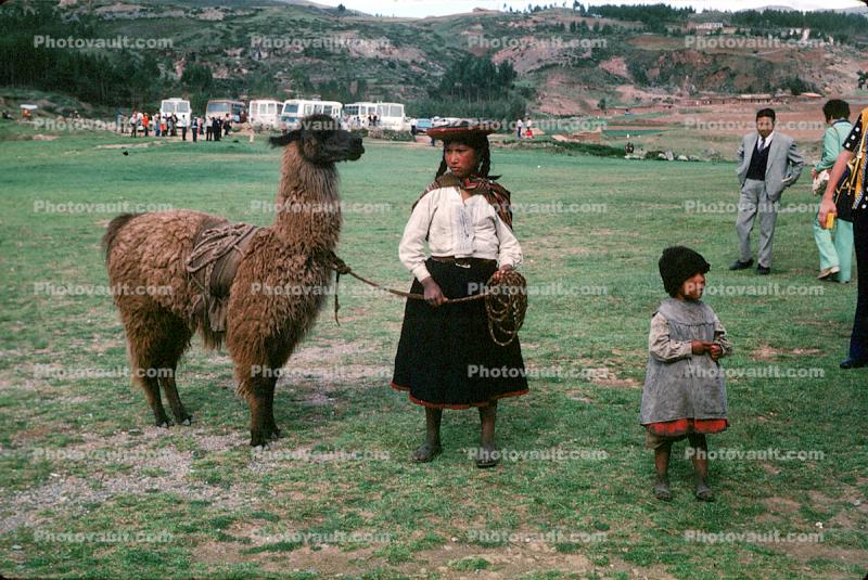 Llama, (Lama glama), Woman, Child