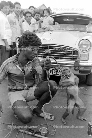 Man, Boy, leash, trick monkey, circus, India