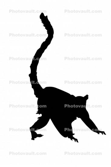 Ring Tailed Lemur Silhouette, (Lemur catta), [Lemuridae], shape, logo