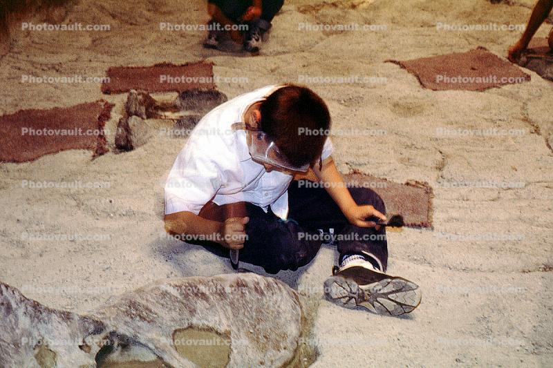 hands-on exhibit, boy paleontologist