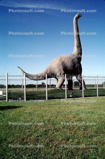 Dixie the Dinosaur, Brachiosaurus, fence, Roadside Attraction, Americana, Dixon California