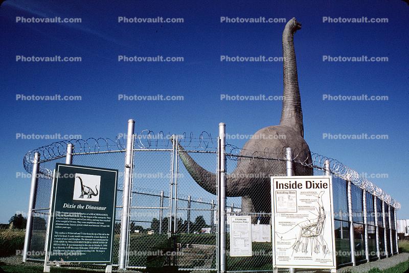 Dixie the Dinosaur, Brachiosaurus, fence, off of Interstate Highway I-80, Roadside Attraction, Americana, Dixon California