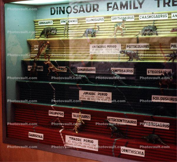 Dinosaur Exhibit, Evolution, Quarry Visitor Center