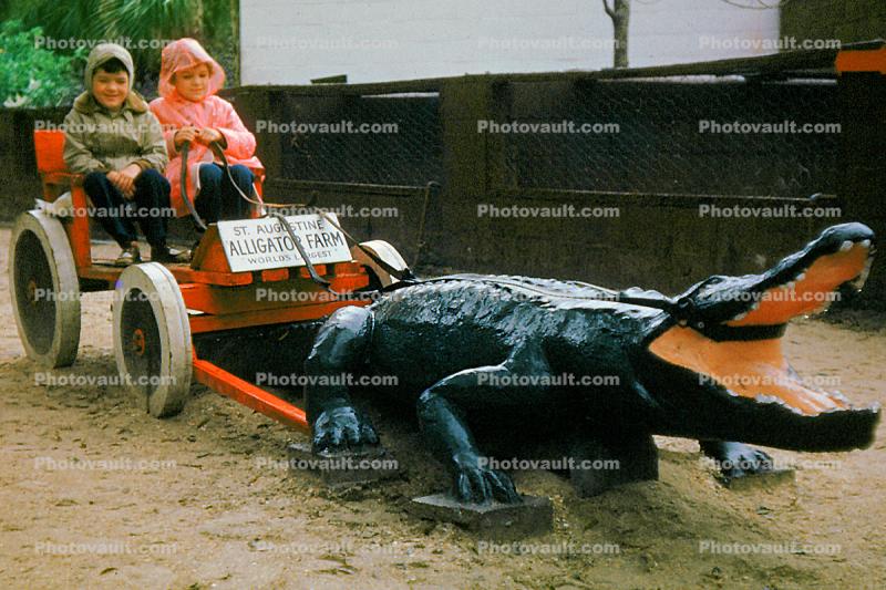 Two Girls on a Gator Pulled Cart, Saint Augustine Alligator Farm, 1950s