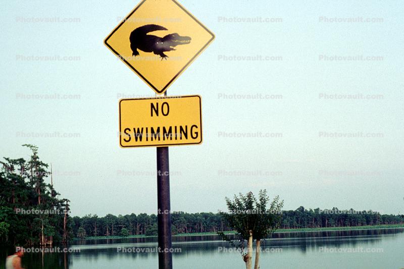 Alligators, no swimming