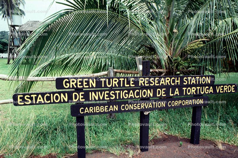 Green Turtle Research Station