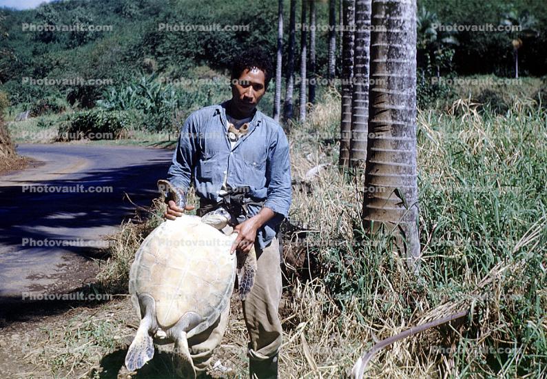 Turtle Hunting in Africa, Poacher, 1950s