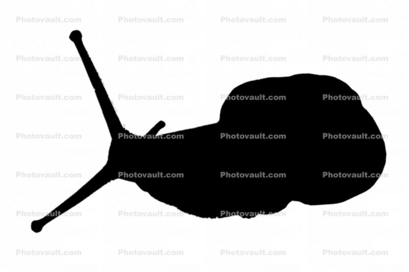 snail silhouette, logo, shape