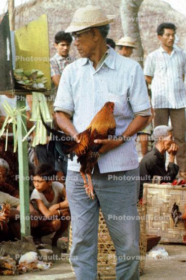 Men with their Roosters
