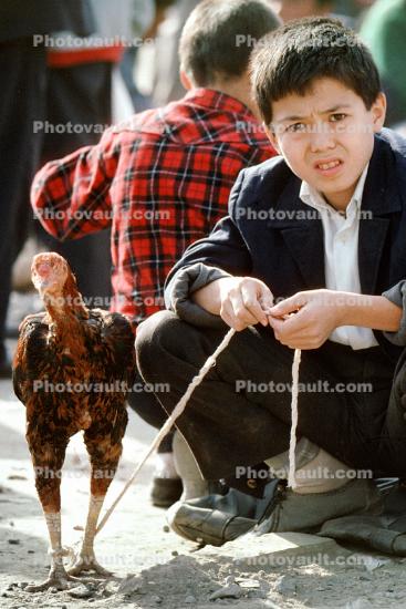 Boy with His Rooster, Tashkent, Uzbekistan