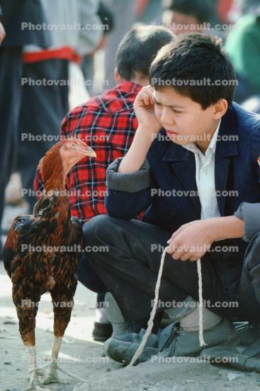 Boy with His Rooster