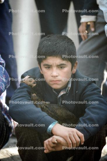Boy with his Rooster, Tashkent, Uzbekistan