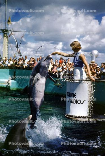 Jumping Dolphin, 1950s