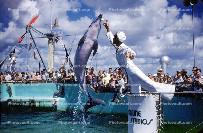 Jumping Dolphin, Navy Sailor