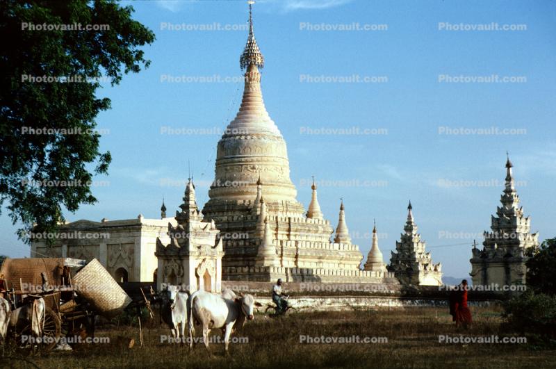 The Mingalazedi Temple, buildings, Stupa, sacred, Bagan
