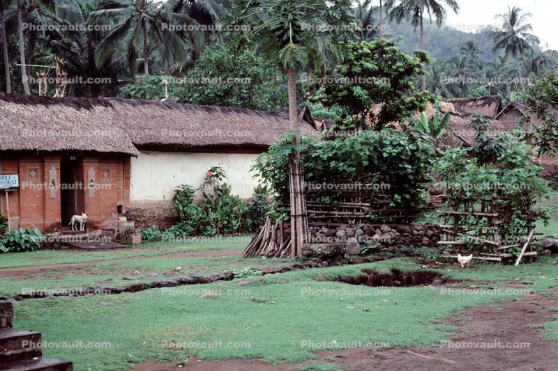 building, grass thatched roof, village, homes, path, Tenganan Bali, Sod