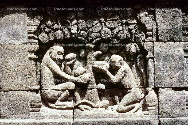 Monkey, Hanuman, trees, stone carving, bar-relief, Bordbudur Temple building
