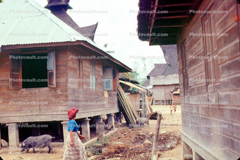 Homes, houses, stilts, hogs, garbage, building, Woman, Batak