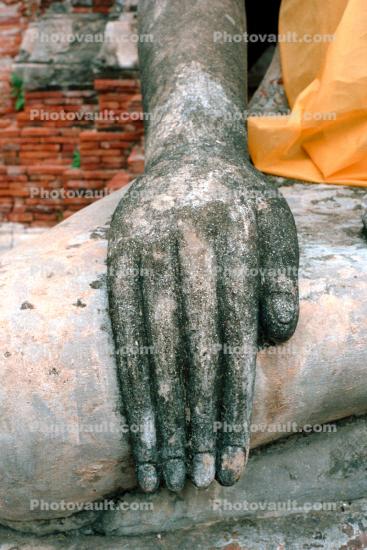 Buddha Hand, Ayutthaya Historical Park
