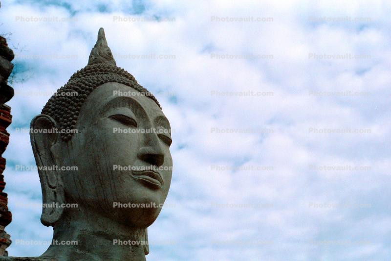 Buddha Head, Ears, Statue, Ayutthaya Historical Park