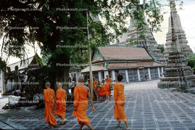 Boys, Monks, orange robes, Bangkok