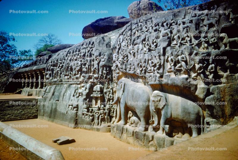 Elephant, Wall Carvings, New Delhi, 1950s