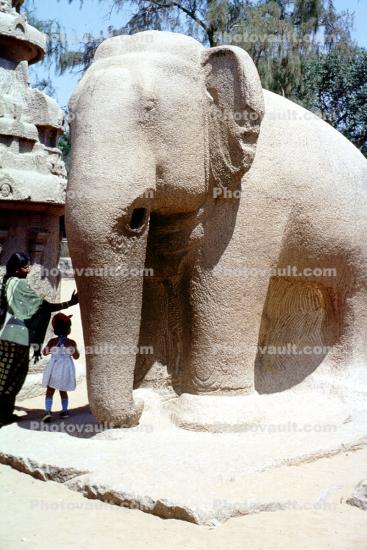 Pallava Elephant Sculpture, Stone Carving, Mahabalipuram, Tamil Nadu