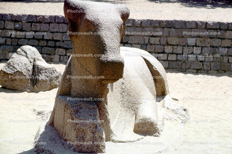 Holy Cow, Stone Carving, Mahabalipuram, Tamil Nadu