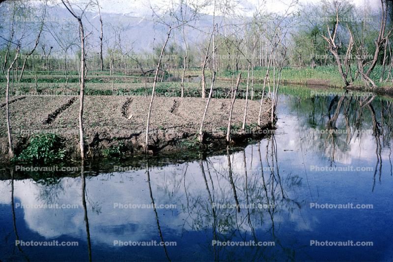 Kashmir, river, water, reflection