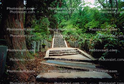 Stairs, Steps, woodland, forest, Nikko
