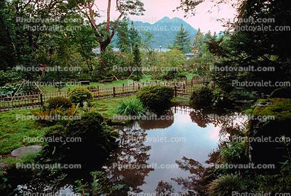 Peaceful Pond, Lake, garden, Nikko