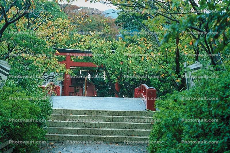 Kamakura, steps, footbridge, trees, Torii Gate