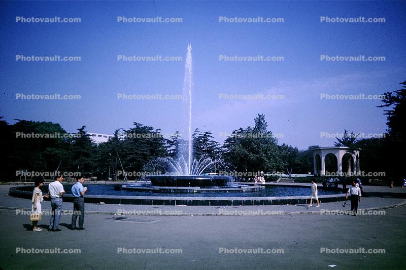 Water Fountain, aquatics, 1950s