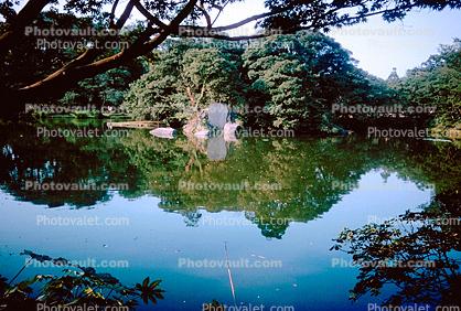 Gardens, Pond, Lake, Reflection, 1950s
