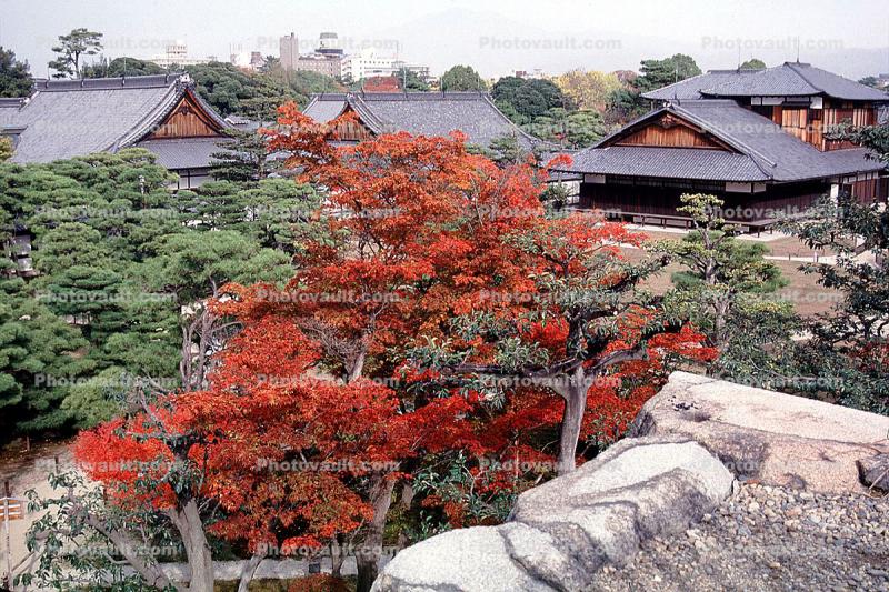 Kyoto, autumn