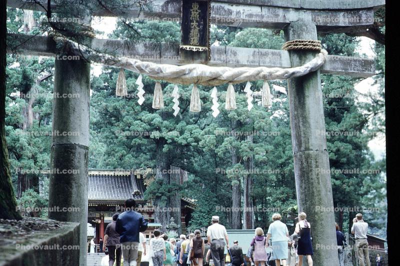 Torii Gate, People, Crowds, Trees, Nikko