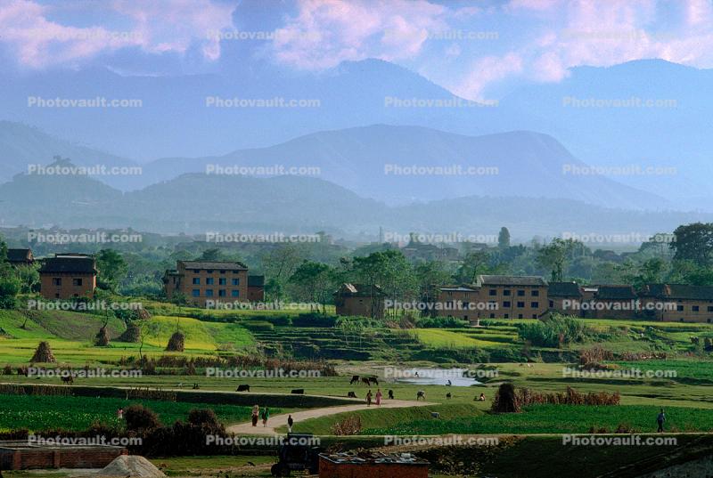 Kathmandu, Hay Mounds, fields, homes, houses, trees, mountains