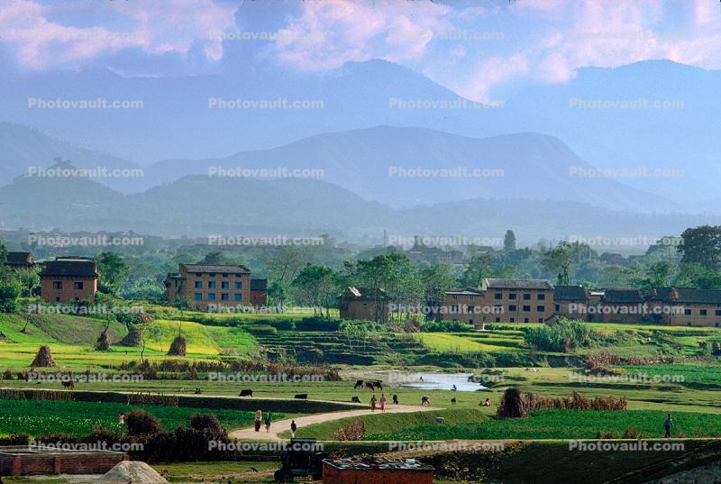Kathmandu, Hay Mounds, fields, homes, houses, trees, mountains