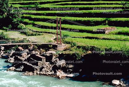 Footbridge, river, suspension bridge, stepped terrace, Rice