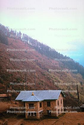 Building, trees, hillside, Shin Gompa, Himalayan Mountains