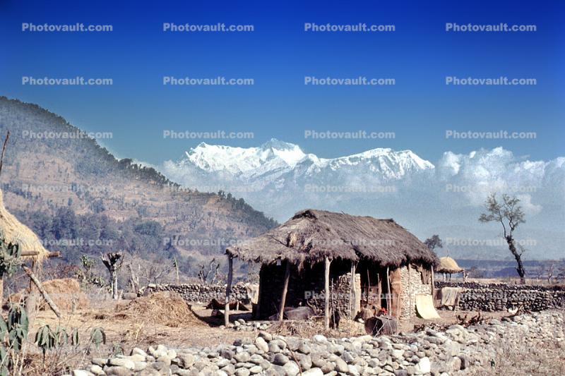 Thatched Roof House, Home, grass roof, Annapurna Sancuary, Sod