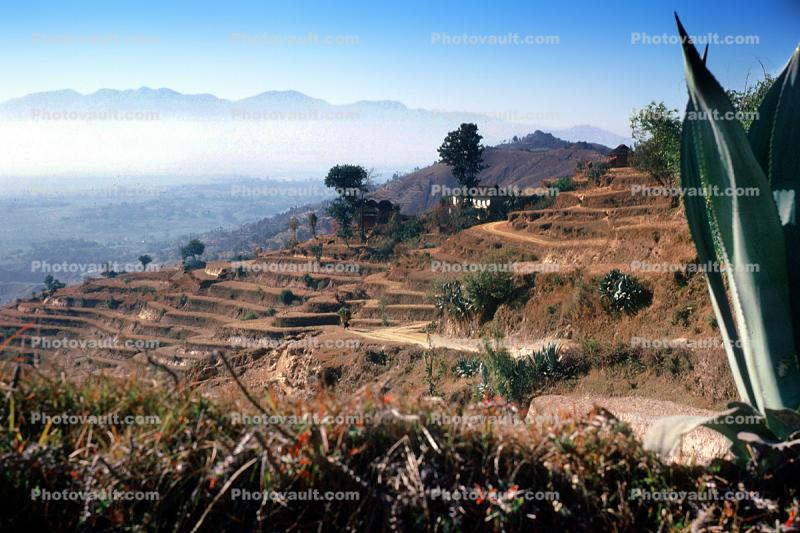 hills, mountains, haze, rice terrace, Nargkot, Kathmandu Valley