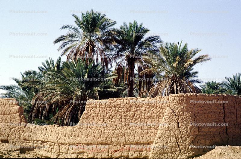 Wall, Al Jubayl, Saudi Arabia