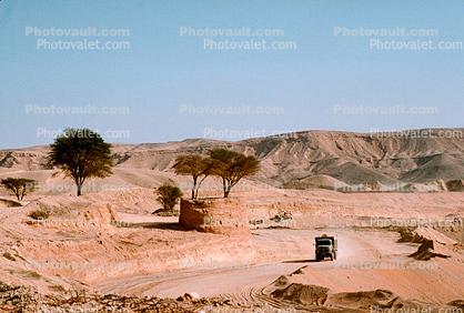 Desert, lone tree, well, road, Saudi Arabia