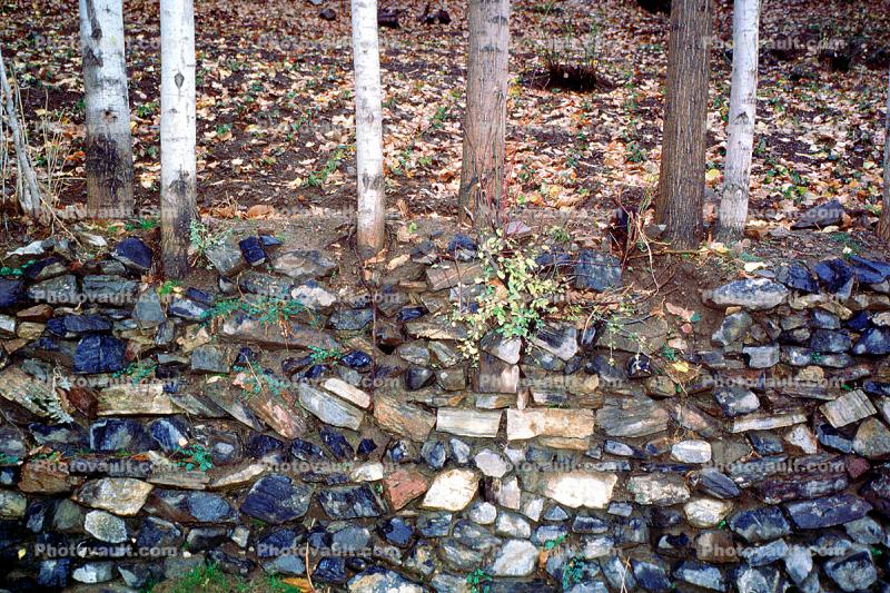 Trees, Stone Wall, Rock Garden, Kerend-e Gharb, Kerend, Dalahu County, Kermanshah Province