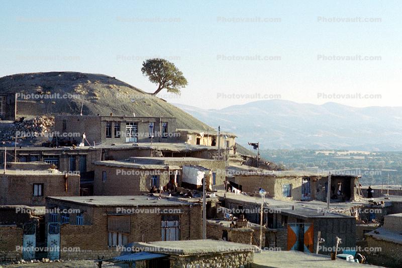 lone tree, hillside, Home, House, Buildings, village, Tutshami