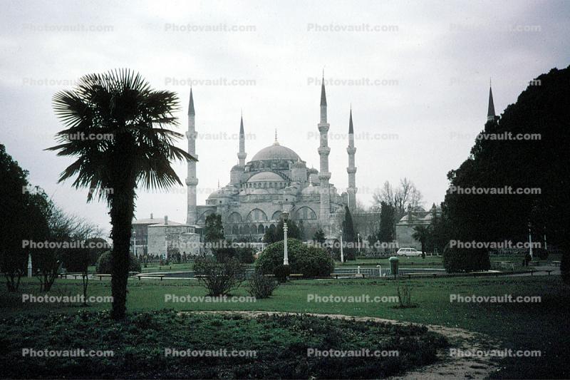 Mosque, Minaret, Palm Tree, Istanbul