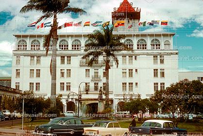 cars, Palm Trees, Hotel building, San Jose, 1950s