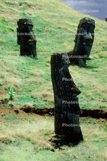 Moai, Face, Statue, Rock, Stone, Rapa Nui National Park, Easter Island, Isla de Pascua, landmark
