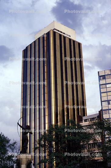 skyscraper, high rise, golden facade, building